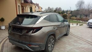 427828489 891285746336506 3134287705252705727 n